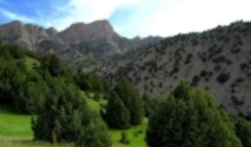 سالانه ۲ هزار هکتار از مراتع و جنگل‌های همدان احیا می‌شود