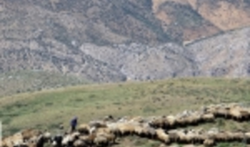 طرح مرتعداری ۷۲ هزار هکتاری جنوب کرمان تهیه شد