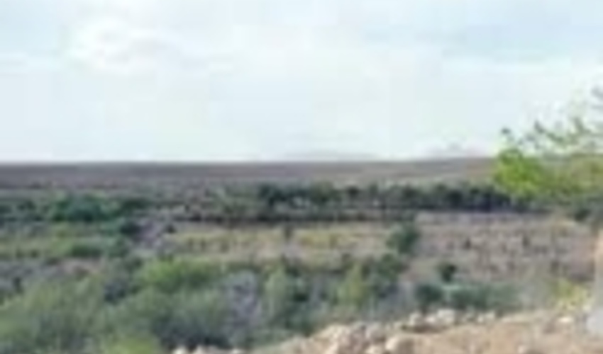 توقف عملیات تخریب وتصرف اراضی ملی درمنطقه ایسین شهرستان بندرعباس