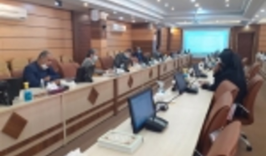 برگزاری کارگاه معرفی دستاوردهای پروژه احیای اراضی جنگلی و تخریب یافته بیابانی  