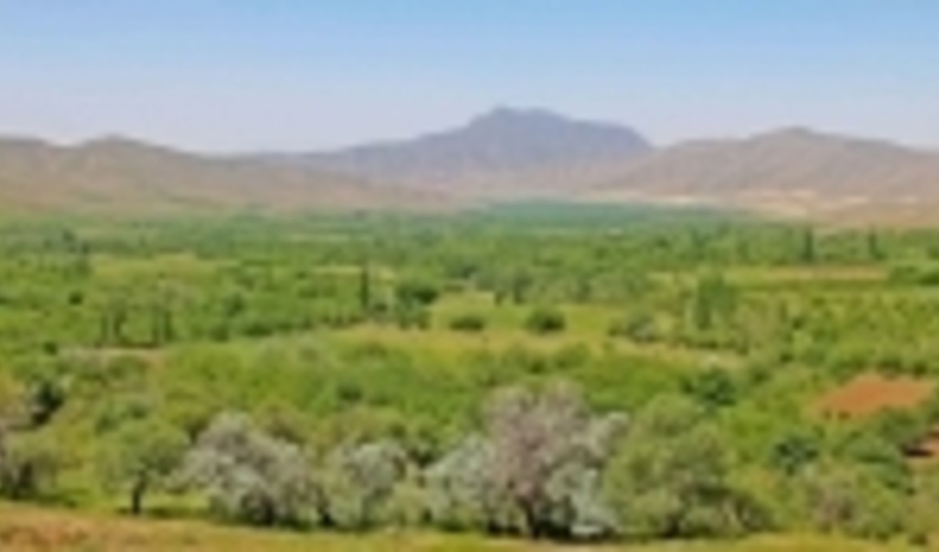 پیشرفت 80% پروژه های بیولوژیکی منابع طبیعی استان همدان