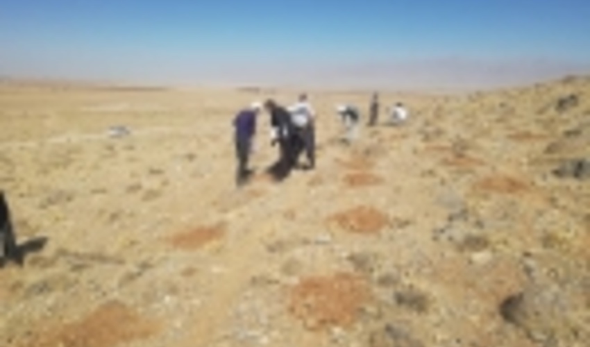 فارس/ احیاء هزار هکتار از مراتع روستای کافتر دشت نمدان اقلید 