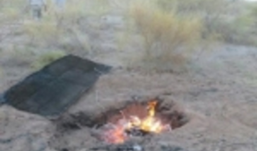 دستگیری عاملان قطع ۲۰۰ درخت تاغ در ششتمد سبزوار 