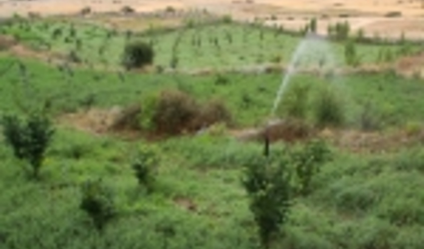 نوشهر/تبديل ديمزارهاي كم بازده در سطح 200 هكتار از اراضي غرب مازندران