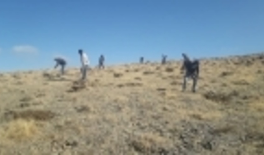 آغاز عملیات کپه‌کاری در سطح ۵۰ هکتار از مراتع شهرستان ملایر