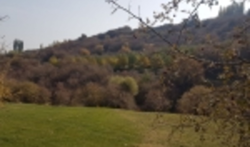 غنی‌سازی ۱۰۰هکتار از اراضی جنگلی در نهاوند آغاز شد