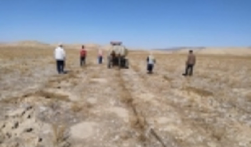 اجرای 900 هکتار بوته کاری مشارکتی در سطح استان گلستان