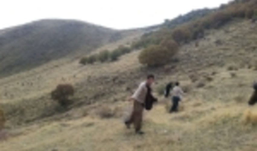 آغاز عملیات بیولوژیک آبخیزداری مراتع کردستان 