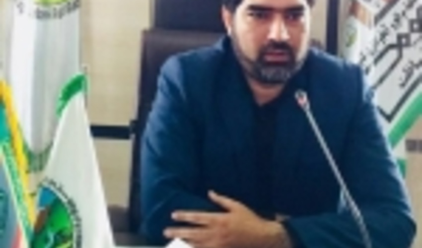 جنوب کرمان/ بذرپاشی و کپه کاری ۱۰۰۰ هکتار از مراتع حوزه آبخیز ساردوئیه