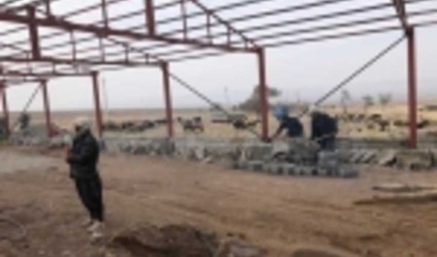 البرز/ اجرای اصولی طرح‌های مرتعداری گامي موثر در راستاي تحقق جهش توليد