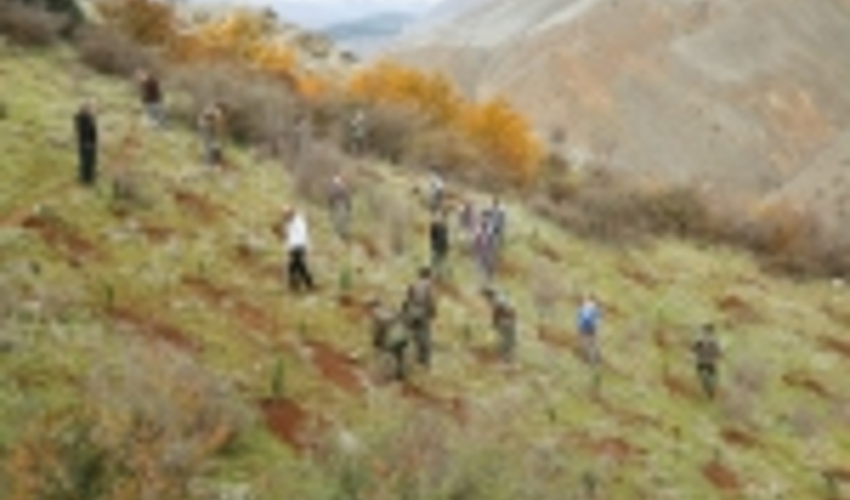 امسال 300 هكتار از عرصه هاي غرب مازندران جنگلكاري مي شود