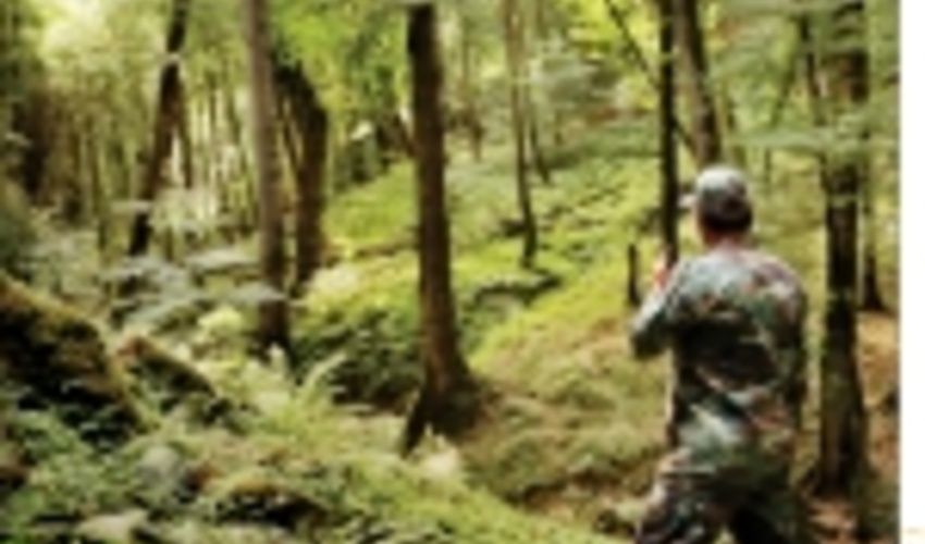 قاچاقچیان چوب در محاصره