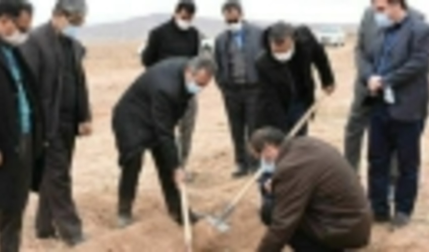 اسفراینی‌ها پای‌کار نهال‌کاری / ۵۰۰ هکتار اصله نهال در اسفراین غرس شد