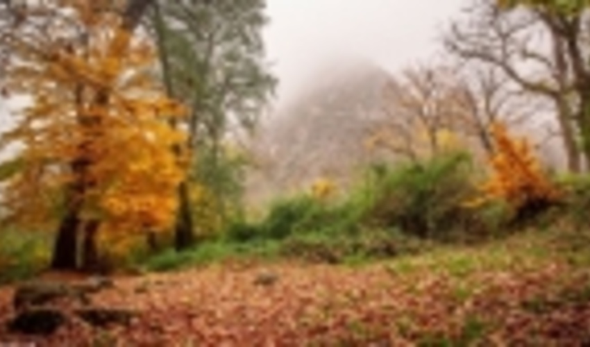 زیبایی های ایران تمامی ندارد / پاییز دل انگیز در جنگل های «هیرکانی» 