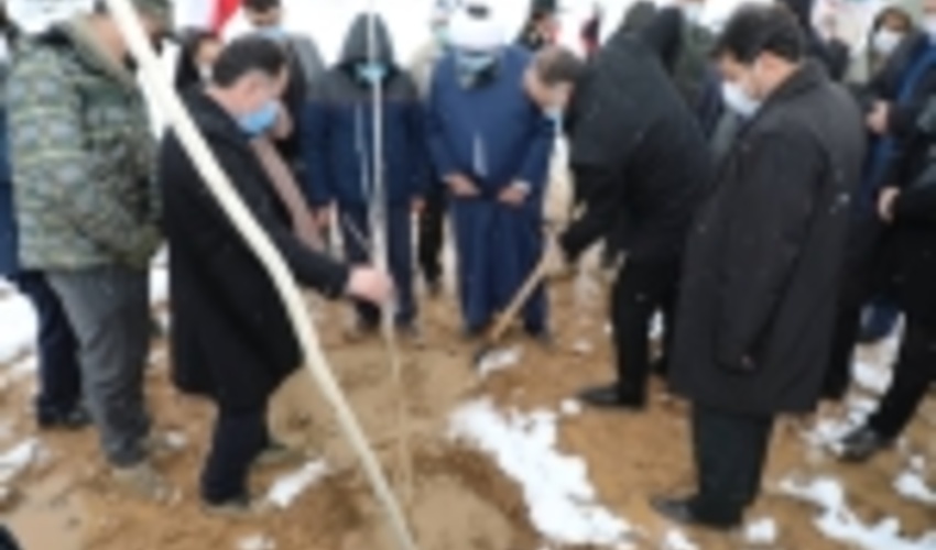 Plantation of Seedlings in 232,000 Ha 