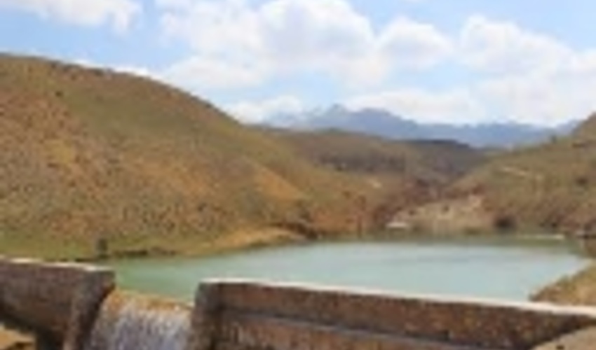 ۸۹پروژه منابع طبیعی استان بوشهر با اعتبار ۱۵.۵میلیارد تومان آغاز شد