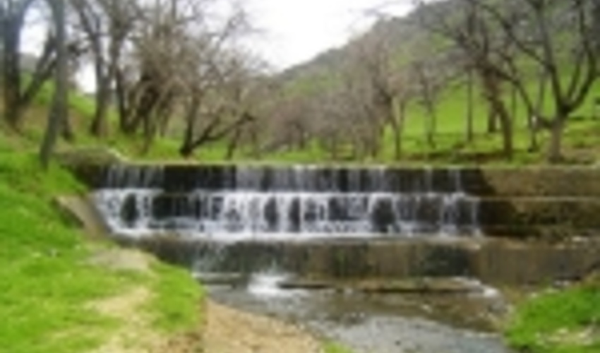 معاون سازمان جنگل‌ها و مراتع: طرح آبخیزداری در ۱.۲ میلیون هکتار مناطق سیل‌خیز امسال انجام می‌شود