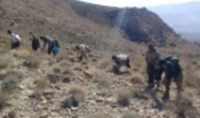 ۱۰۰ هکتار از مراتع شهرستان نی ریز احیاء شد