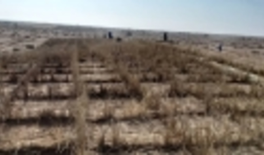 اختصاص بیش از ۲ هزار میلیارد ریال به طرح‌های بیابانزدایی