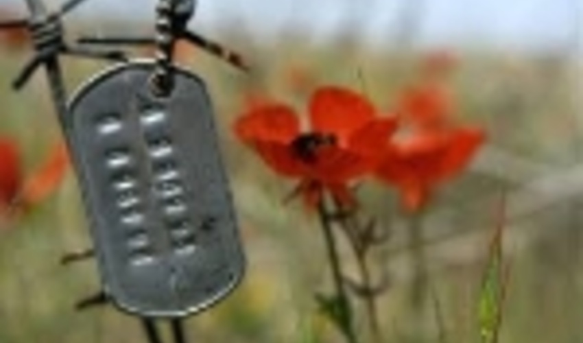 اولین نشست کمیته ایثارگران سازمان جنگل ها برگزار شد