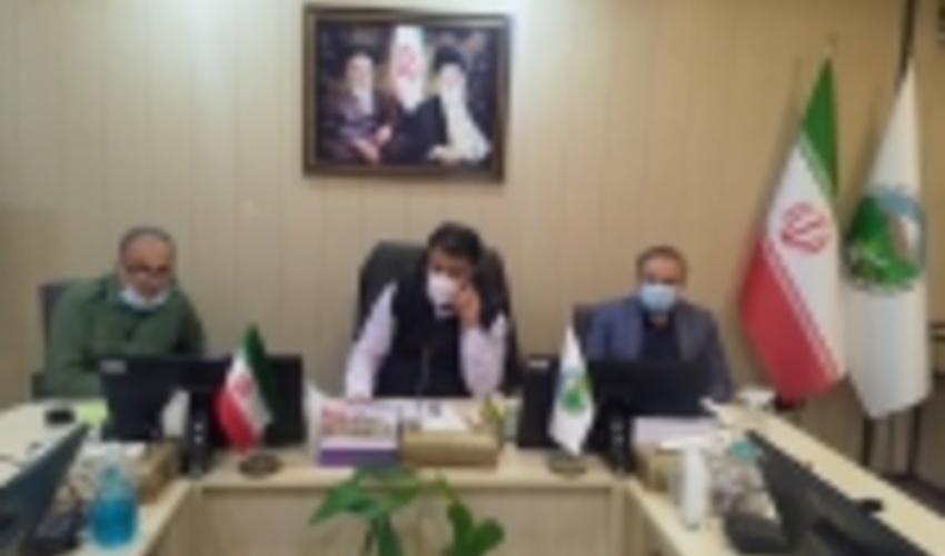 دلجویی رئیس سازمان جنگل‌ها از دو جنگلبان مصدوم تالشی