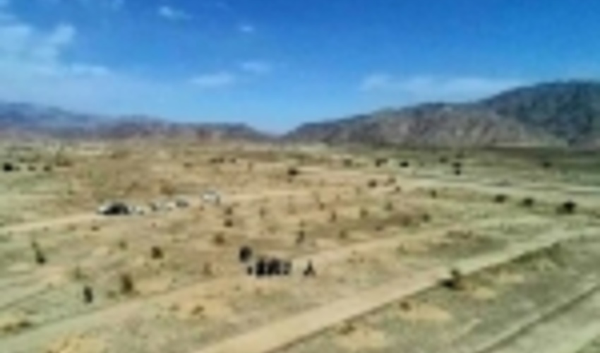 ۱۸ رویشگاه انار شیطان در جنوب کرمان شناسایی شد