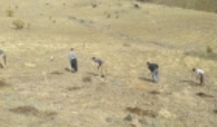 اجرای عملیات احیای ۱۹۵ هکتار از دشت آلونی شهرستان خانمیرزا