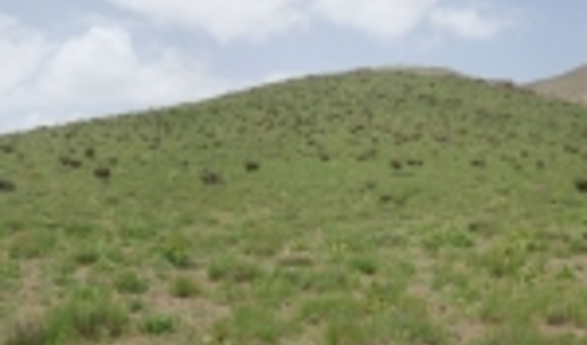 یک هزار و ۱۶ هکتار از اراضی ملی استان مرکزی از دست متصرفان خارج شد