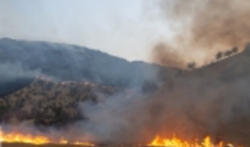 نیروهای یگان حفاظت منابع طبیعی گیلان آماده باش هستند