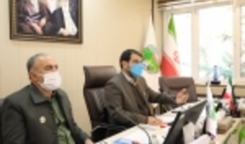  سه انتصاب جدید در سازمان جنگل ها