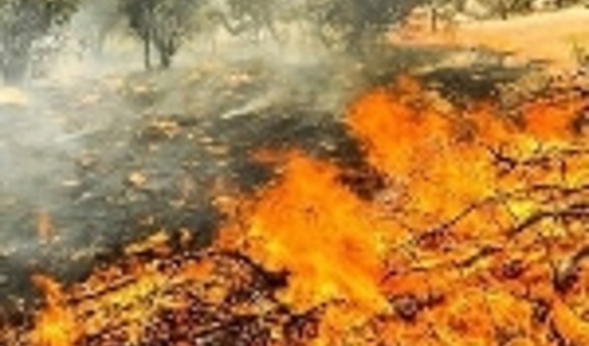 اردبیل/ آتش سوزی در منطقه حیران مهار شد