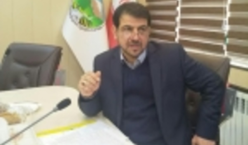 رییس سازمان جنگل ها از مدیران منابع طبیعی استان های شمالی تشکر کرد