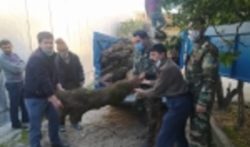 چشمان بیدار نیروهای منابع طبیعی جهت مقابله با قاچاق چوب