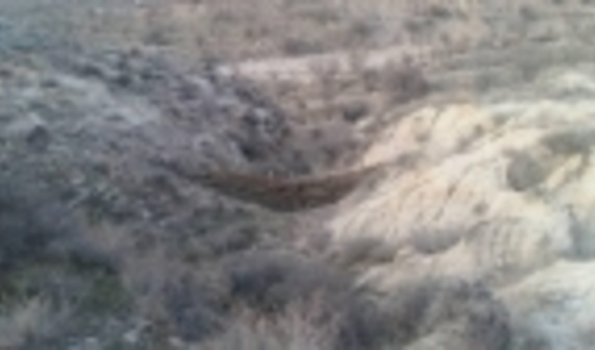 فارس/اجرای عملیات آبخیزداری حوزه کوهمره سرخی شهرستان شیراز 