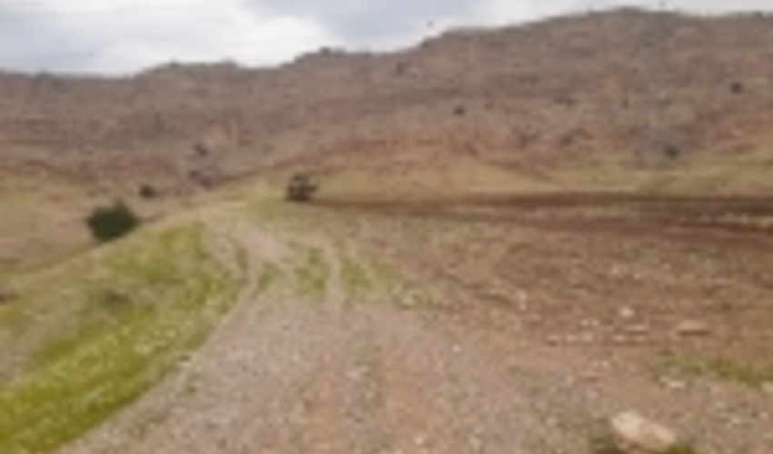 ۴۳۲ هکتار از عرصه‌های طبیعی کردستان رفع تصرف شد