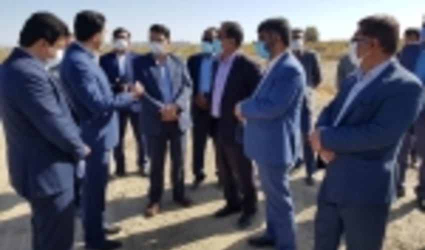 جنوب کرمان/ هزار هکتار جنگلکاری در رضاآباد رودبار جنوب اجرا شد