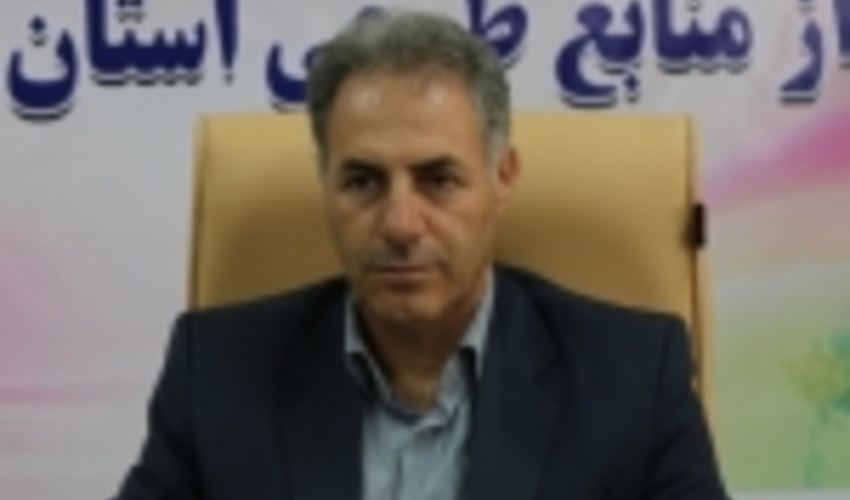 اراضی جنگلی ایلام باید به سطح یک میلیون هکتار برسد