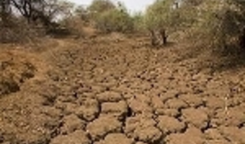میانگین فرسایش خاک در چهارمحال و بختیاری ۲۰ درصد بیشتر از کشور است