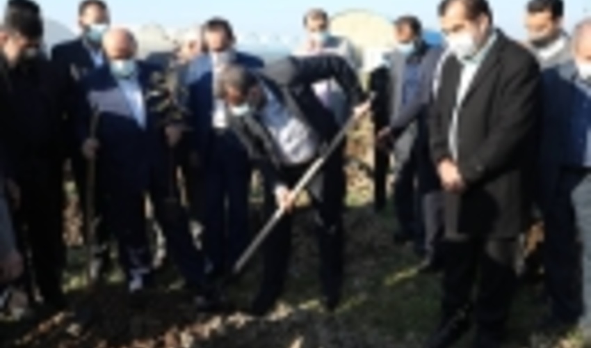 عملیات زراعت چوب در چهارهزار هکتار از اراضی مازندران آغاز شد