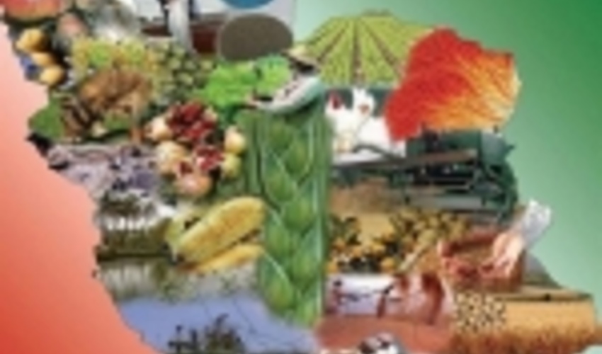 گزارش دیده نشده فائو از دستاوردهای آبخیزداری