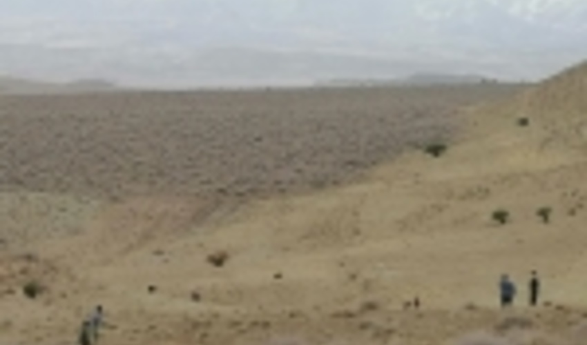 قم/ کاشت بذر بادام با مشارکت جهادگران بسیجی در مساحتی بیش از ۱۰ هکتار