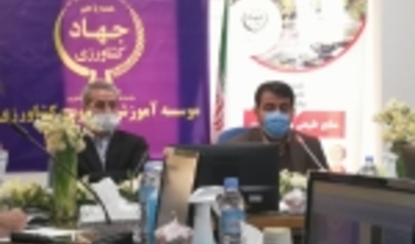 رییس سازمان جنگل ها: در برابر قطع یک درخت مسئول هستیم