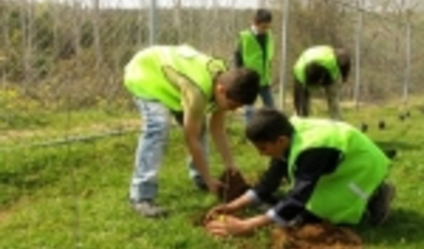 1400 همیار طبیعت در جنوب کرمان ساماندهی شدند 