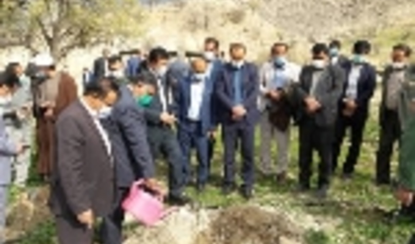 کهگیلویه/اجرای حکم سبز از سوی دادگاه عمومی چاروسا؛ کاشت ۲۴۰ اصله درخت