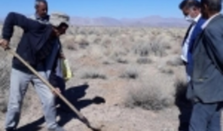 یزد/ ايجاد مزرعه الگويي آنغوزه تلخ در محدوده طرح ترسيب كربن شهرستان خاتم