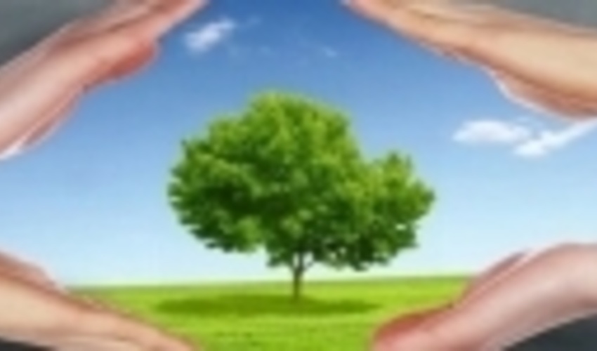 فعالیت ۵۰۰۰ همیار طبیعت در چهارمحال و بختیاری