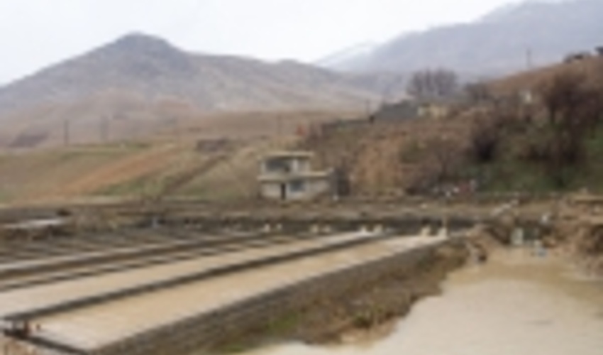 ۵۷ طرح منابع طبیعی در جنوب کرمان افتتاح یا کلنگ زنی می‌شود