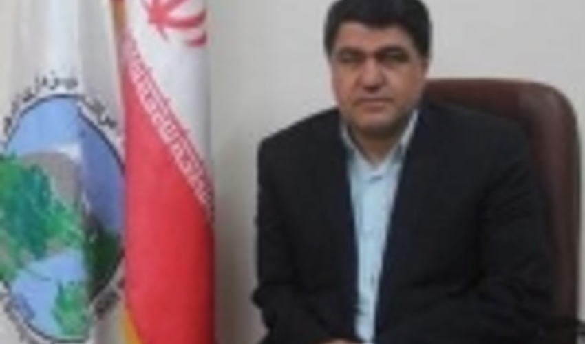 کاشت درخت با حضور خانواده سردار سلیمانی/فرهنگ سرسبزی ارتقا می یابد