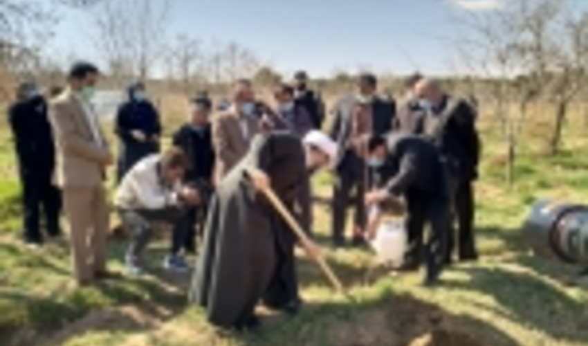  کلاس مجردها امسال هم نهال کاشتند 