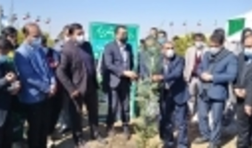 پارک جنگلی  250 هکتاری در همدان به مناسبت هفته منابع طبیعی افتتاح شد